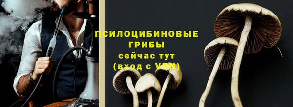 шишки Алексеевка