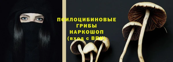 прущая мука Алзамай