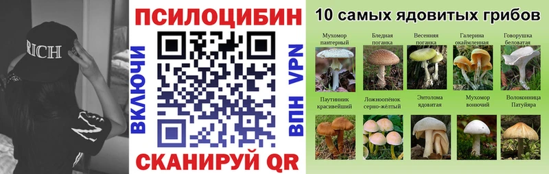 Галлюциногенные грибы Psilocybe  наркотики  hydra онион  Тосно 