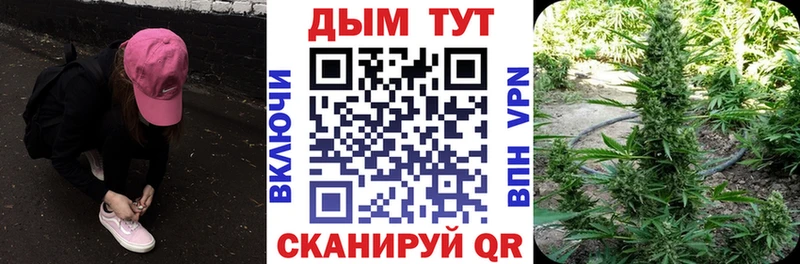 где продают наркотики Тосно Каннабис THC 21%